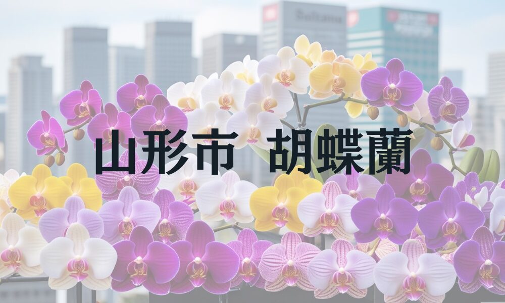 山形市 胡蝶蘭