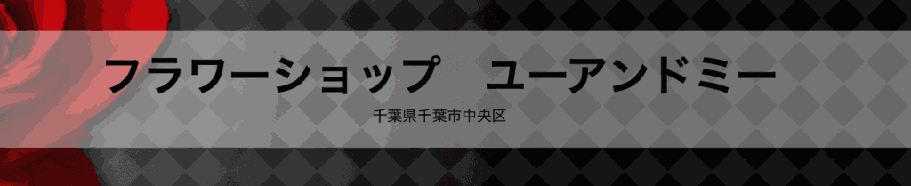 千葉市　胡蝶蘭