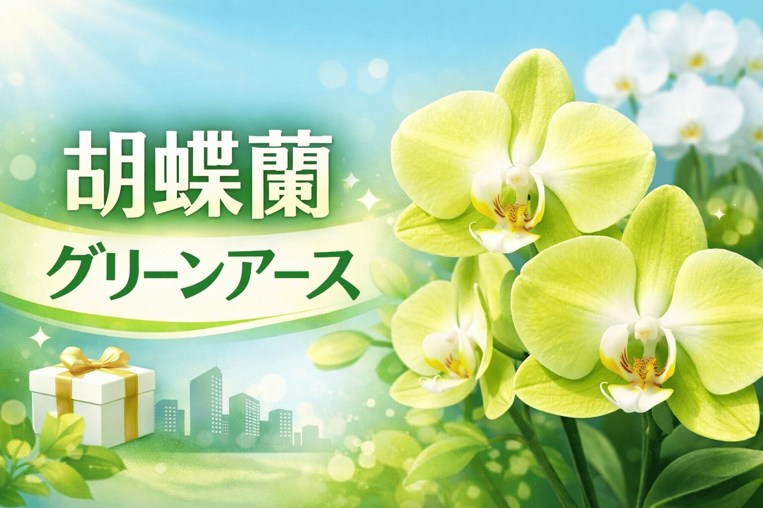 胡蝶蘭 グリーンアース